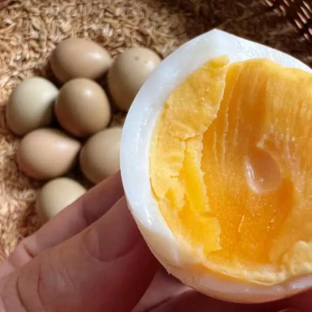 Sự Khác Biệt Giữa Trứng Chim Trĩ và Trứng Gà: Kích Thước, Dinh Dưỡng và Hương Vị